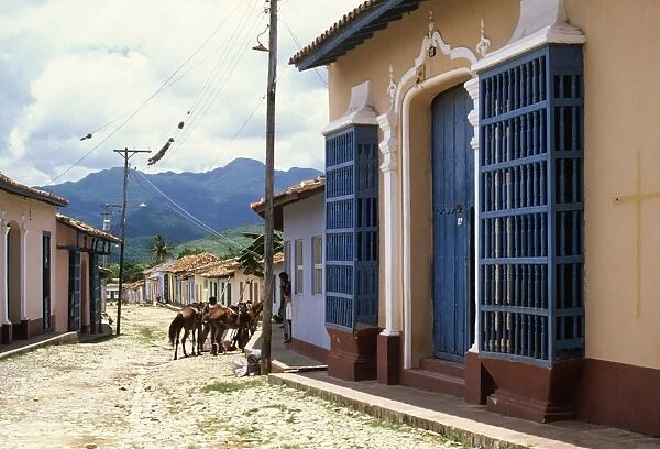 Horses in old town back street, Trinidad, Sancti Spiritus, Cuba, West Indies