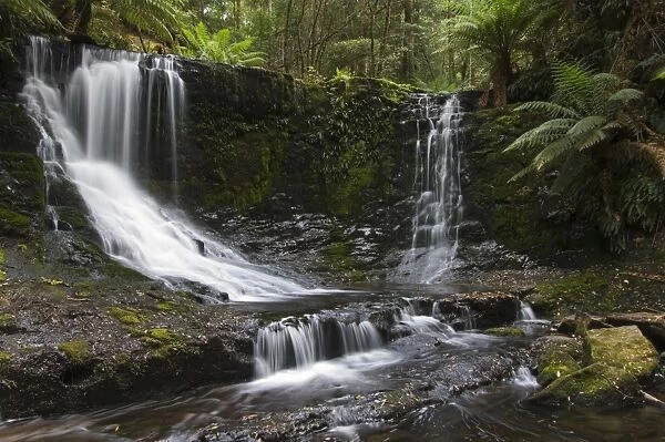 Horseshoe Falls, Mount Fields National Park, Tasmania, Australia, Pacific