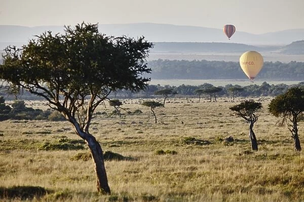 Hot air ballons lifting up in the sunrise light in the Msai Mara, Kenya, East Africa