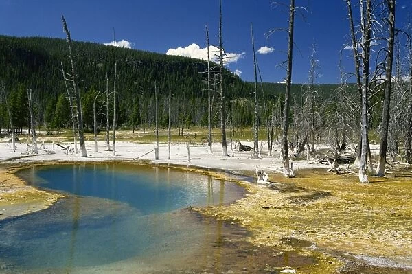Hot pool and geyerite deposits