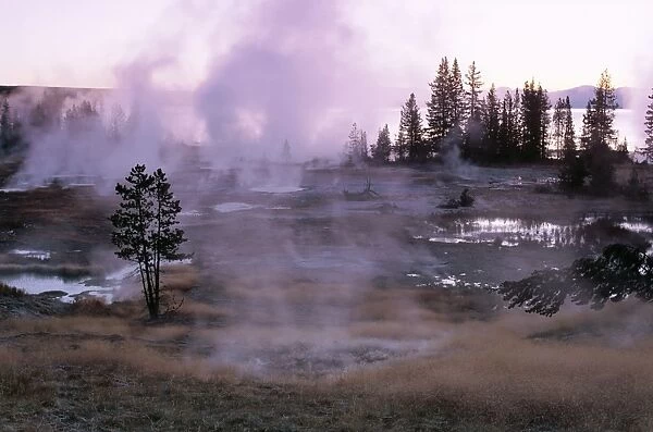 Hot springs at dawn