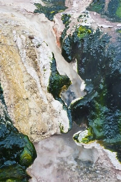 Hot stream detail at Orakei Korako Thermal Park, The Hidden Valley, North Island, New Zealand, Pacific