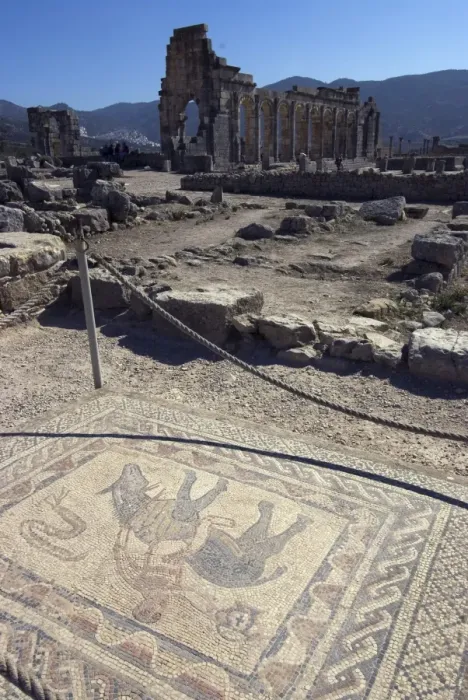 Framed Print : House of the Athlete (House of the Acrobat), Roman site of Volubilis, UNESCO World Heritage Site Framed Print : House of the Athlete (House of the Acrobat), Roman site of Volubilis, UNESCO World Heritage Site