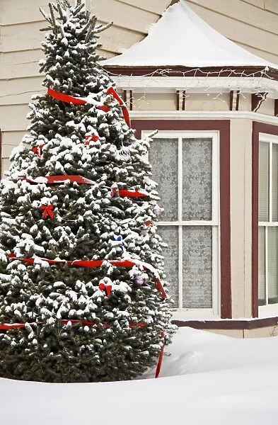 House with Christmas tree