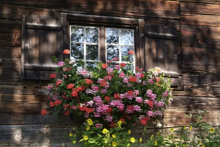 Framed Print : House in Gerstruben near Oberstdorf, Allgau, Bavaria, Germany, Europe Framed Print : House in Gerstruben near Oberstdorf, Allgau, Bavaria, Germany, Europe