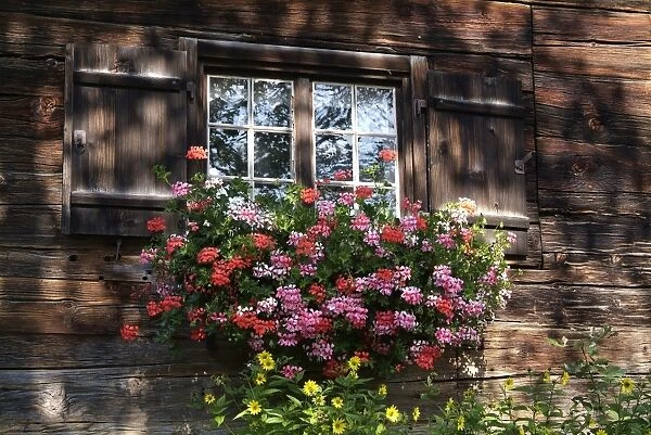 House in Gerstruben near Oberstdorf, Allgau, Bavaria, Germany, Europe