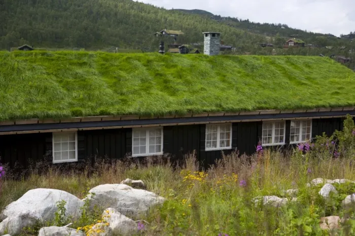 Framed Print : House with green roof, near Tinn, Telemark, Norway, Scandinavia, Europe Framed Print : House with green roof, near Tinn, Telemark, Norway, Scandinavia, Europe