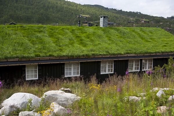House with green roof, near Tinn, Telemark, Norway, Scandinavia, Europe