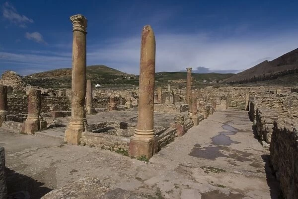 House of the Hunt, Roman ruins of Bulla Regia, Tunisia, North Africa, Africa