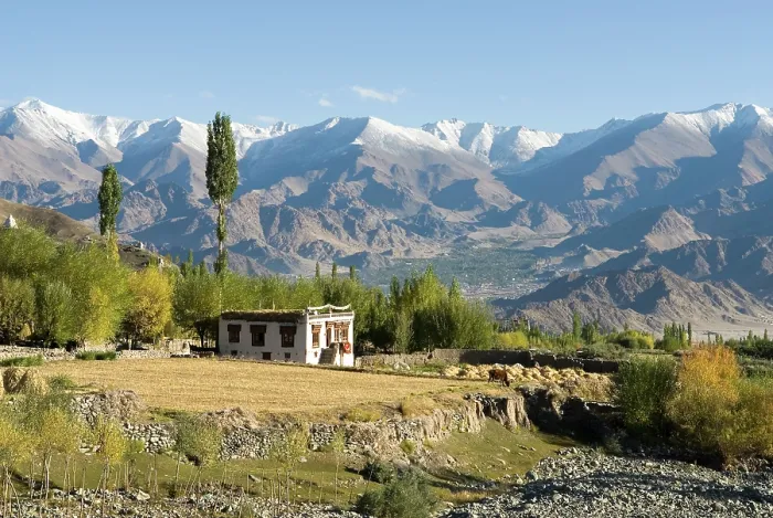 Framed Print : House of the Indus River valley seen from the village of Stok, around Leh, Ladakh region, state of Jammu and Kashmir, India, Asia Framed Print : House of the Indus River valley seen from the village of Stok, around Leh, Ladakh region, state of Jammu and Kashmir, India, Asia