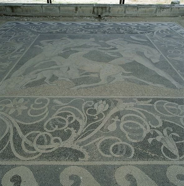 House of the Lion Hunt with exquisite floor mosaics