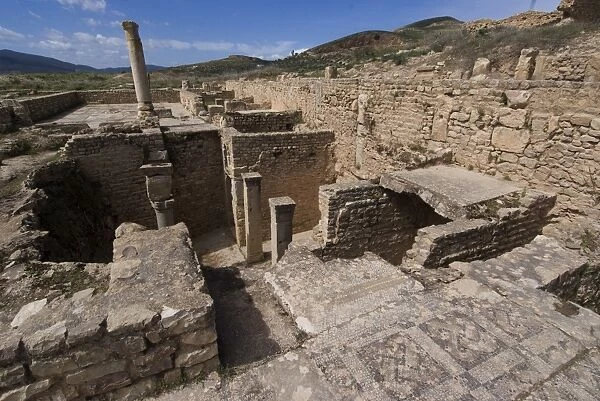 House of the New Hunt, Roman ruins of Bulla Regia, Tunisia, North Africa, Africa