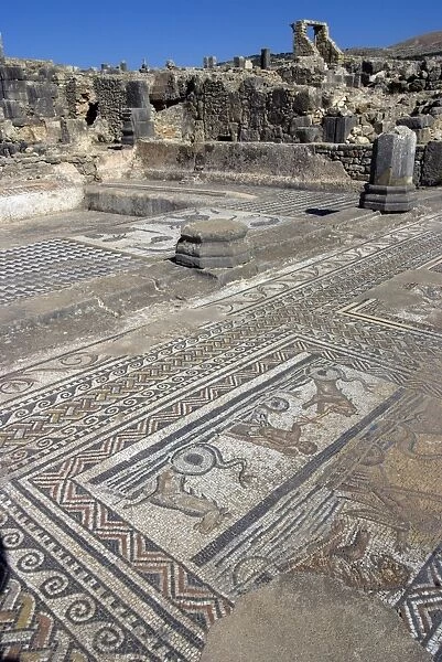 House of Orpheus, Roman site of Volubilis, UNESCO World Heritage Site, Morocco