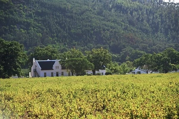 House in the wine growing area of Franschhoek