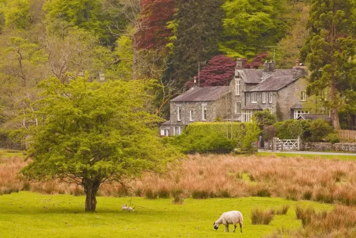 Framed Print : A house amongst the woodland near to Ambleside in the Lake District National Park, Cumbria, England, United Kingdom, Europe Framed Print : A house amongst the woodland near to Ambleside in the Lake District National Park, Cumbria, England, United Kingdom, Europe