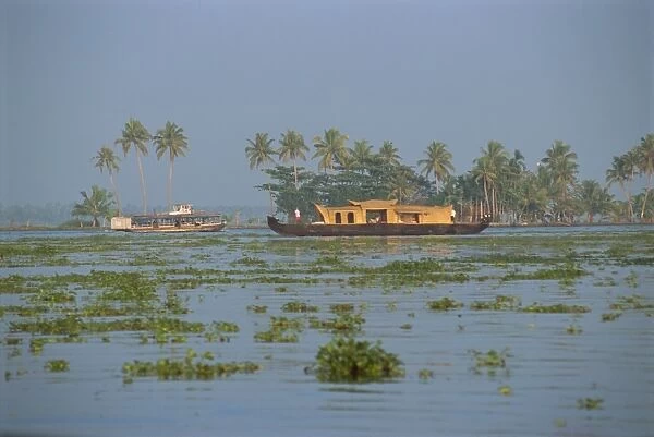Houseboats used for tourists