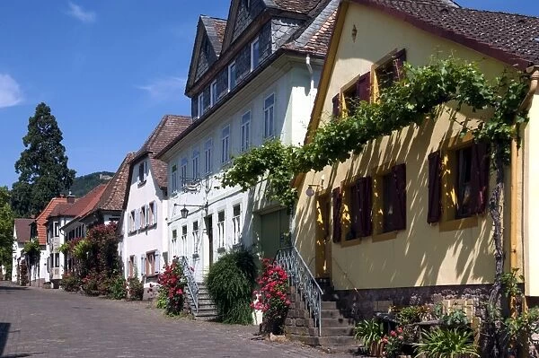 Houses along the cobbled street in Rhodt unter Rietburg, Sudliche Weinstrasse, Rhineland Palatinate, Germany, Europe