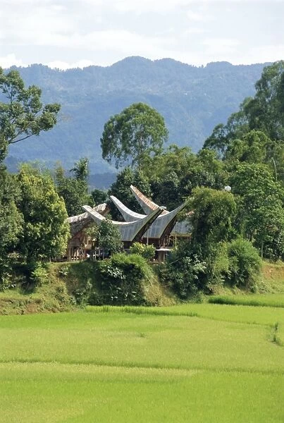 Houses near the highest mountain in Toraja