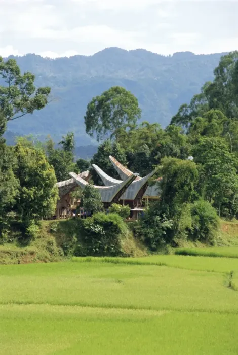 Framed Print : Houses near the highest mountain in Toraja Framed Print : Houses near the highest mountain in Toraja