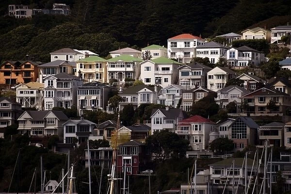 Houses on the northern slopes of Mount Victoria overlooking Oriental Bay, Wellington, North Island, New Zealand, Pacific