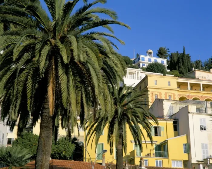 Framed Print : Houses and palms, Menton, Alpes-Maritimes, Cote d Azur, Provence, France, Europe Framed Print : Houses and palms, Menton, Alpes-Maritimes, Cote d Azur, Provence, France, Europe