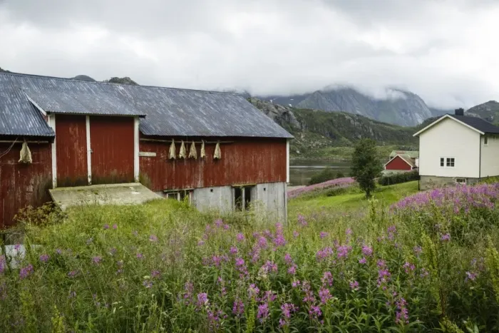 Framed Print : Houses in Tangstad, Vestvagoy commune, Lofoten Islands, Arctic, Norway, Scandinavia, Europe Framed Print : Houses in Tangstad, Vestvagoy commune, Lofoten Islands, Arctic, Norway, Scandinavia, Europe