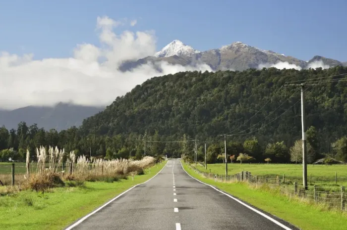 Framed Print : Hst Highway, near Jacobs River, West Coast, South Island, New Zealand, Pacific Framed Print : Hst Highway, near Jacobs River, West Coast, South Island, New Zealand, Pacific
