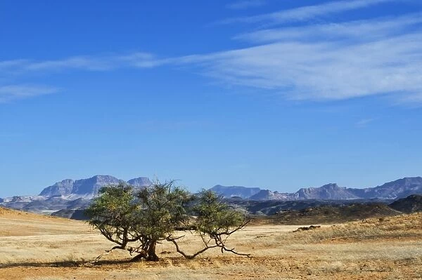 Huab River Valley area, Damaraland, Kunene Region, Namibia, Africa