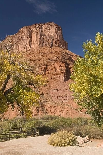Huge butte with trees turning color in the Fall, Utah Scenic Byway 128
