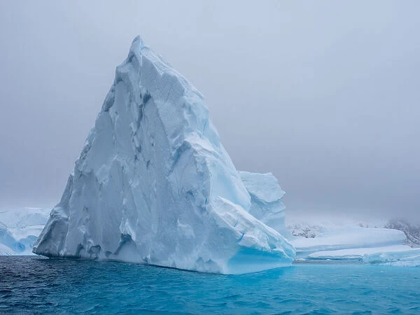 A huge iceberg grounded on a reef near the Iceberg Graveyard, Petermann Island, Antarctica, Polar Regions