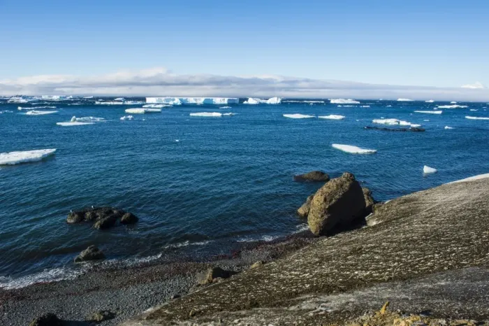 Framed Print : Huge icebergs on Tabarin Peninsula, Antarctica, Polar Regions Framed Print : Huge icebergs on Tabarin Peninsula, Antarctica, Polar Regions