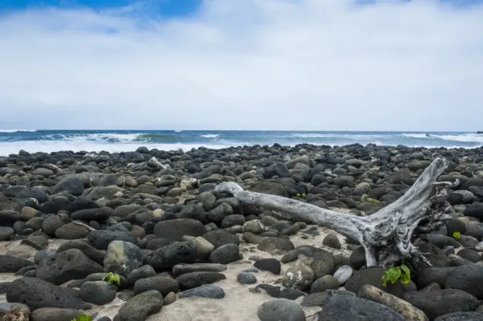 Framed Print : Huge pebbles on the Halawa beach in Halawa Bay on the island of Molokai, Hawaii, United States of America, Pacific Framed Print : Huge pebbles on the Halawa beach in Halawa Bay on the island of Molokai, Hawaii, United States of America, Pacific