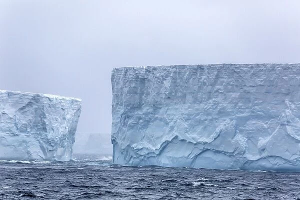 Huge tabular icebergs broken off from B-17A Iceberg near Cooper Bay, South Georgia
