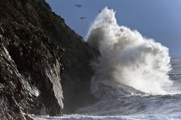 Huge waves crash against cliffs at Criccieth, Gwynedd, Wales, United Kingdom, Europe