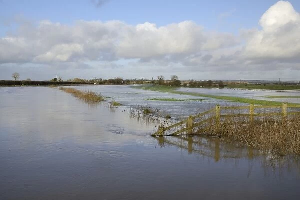 Hugely swollen River Parrett overflowing onto Aller Moor near Staithe after weeks of heavy rain, Somerset Levels, Somerset, England, United Kingdom, Europe