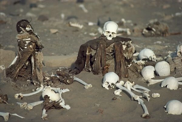 Human remains in a cemetery in the Nazca desert