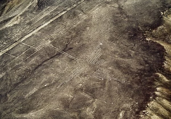 The Humming Bird Geoglyph, aerial view, Nazca, UNESCO World Heritage Site, Ica Region
