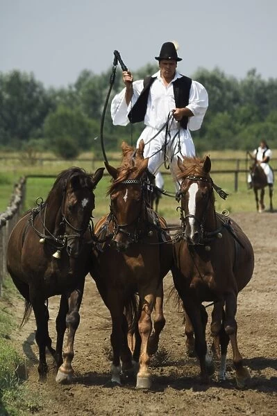 Hungarian cowboy horse show