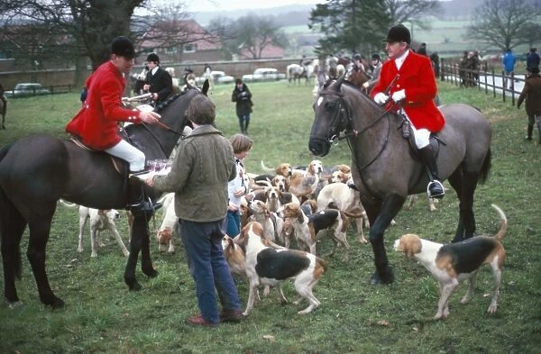 Huntsmen and hounds, South Berkshire, England, United Kingdom, Europe