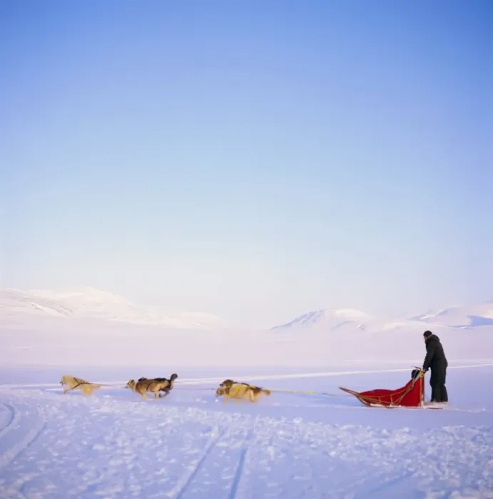 Framed Print : Husky dog sled team Framed Print : Husky dog sled team