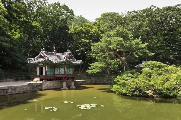 Huwon, The Secret Garden, pavilions around a square lily pond, Changdeokgung Palace in summer