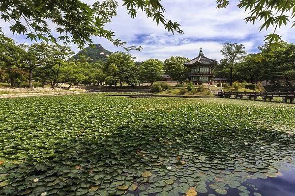 Hyangwonjeong, hexagonal pavilion on island in water lily filled lake in summer
