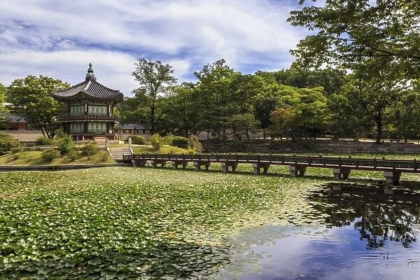 Hyangwonjeong pavilion and Chwihyanggyo bridge over water lily filled lake in summer