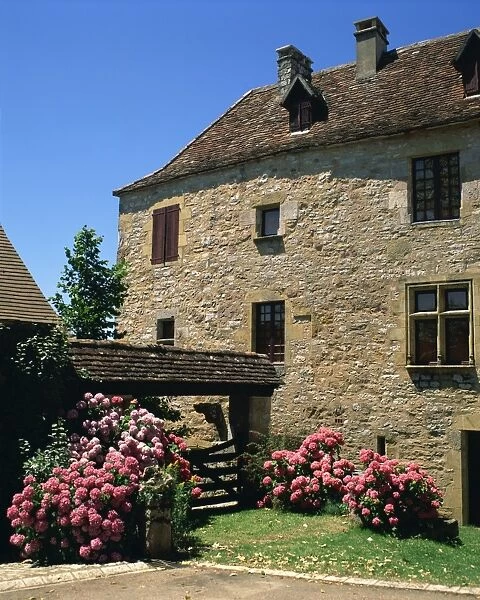 Hydrangeas and fuscia in front of one of the houses in the medieval village of Loubressac