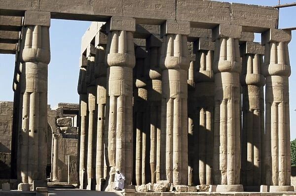 Hypostyle hall of Amenophis III, 32 papyriform columns, Luxor Temple, Luxor