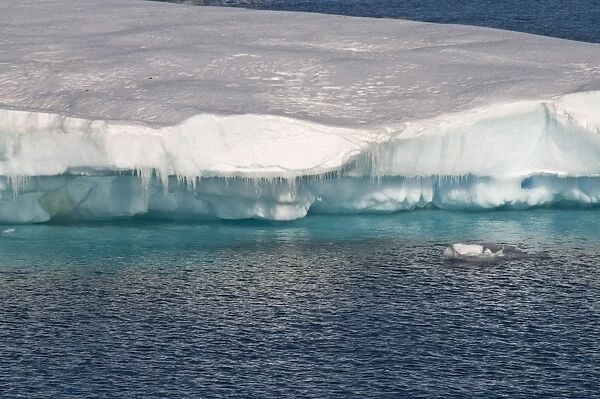 Ice in the Antarctic Sound, The Antarctic Peninsula, Antarctica, Polar Regions
