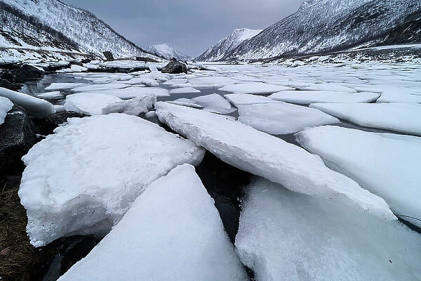 Ice blocks in Sifjordbotn, Senja, Troms og Finnmark, Norway, Scandinavia, Europe