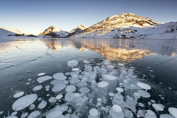 Ice bubbles at sunrise, Bianco Lake, Bernina Pass, Engadine, Switzerland, Europe