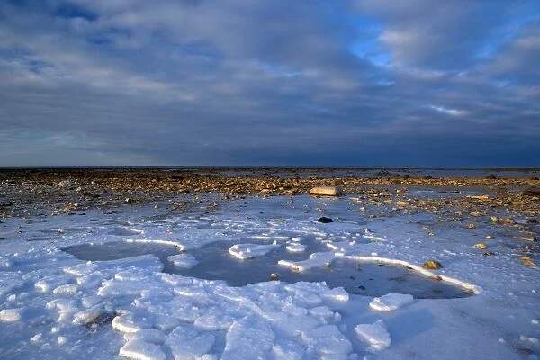 Ice at Churchill, Hudson Bay, Manitoba, Canada, North America