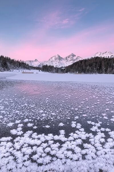 Ice crystals, Lej da Staz, St. Moritz, Engadine, Canton of Graubunden (Grisons), Switzerland